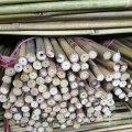 Wholesale Eco-friendly Support Plant Growing Natural Raw Moso Artificial Bamboo Poles